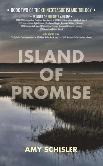 Amy Schisler - Island of Promise, E-bok