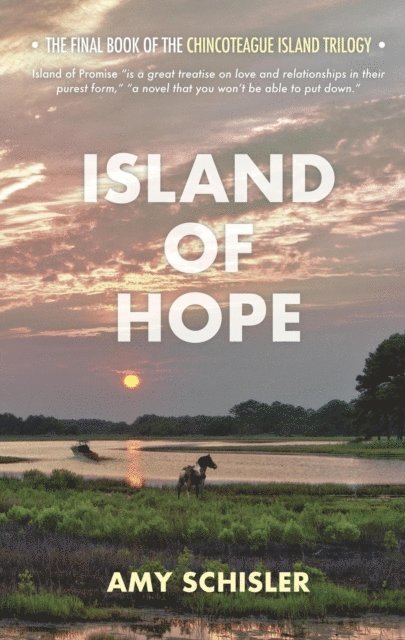 Amy Schisler - Island of Hope, E-bok