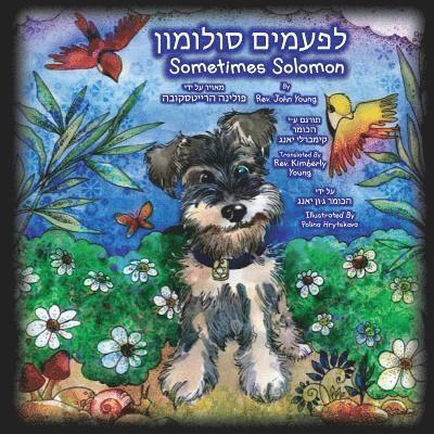 John Young - Sometimes Solomon - Hebrew Translation: Sometimes a dog is just a dog, Häftad