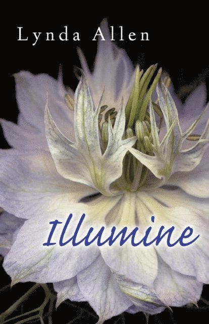 Lynda Allen - Illumine, E-bok