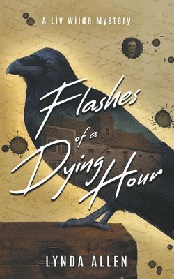 Lynda Allen - Flashes of a Dying Hour, Häftad