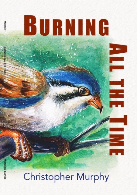 Christopher Murphy - Burning All the Time, E-bok