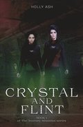 Crystal and Flint: The Journey Missions Series