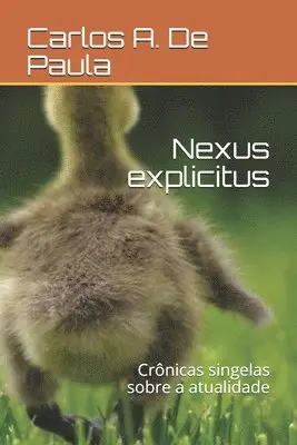 Carlos a. de Paula - Nexus explicitus: Crônicas singelas sobre a atualidade, Häftad. Tillgänglighet: Lägg i varukorg