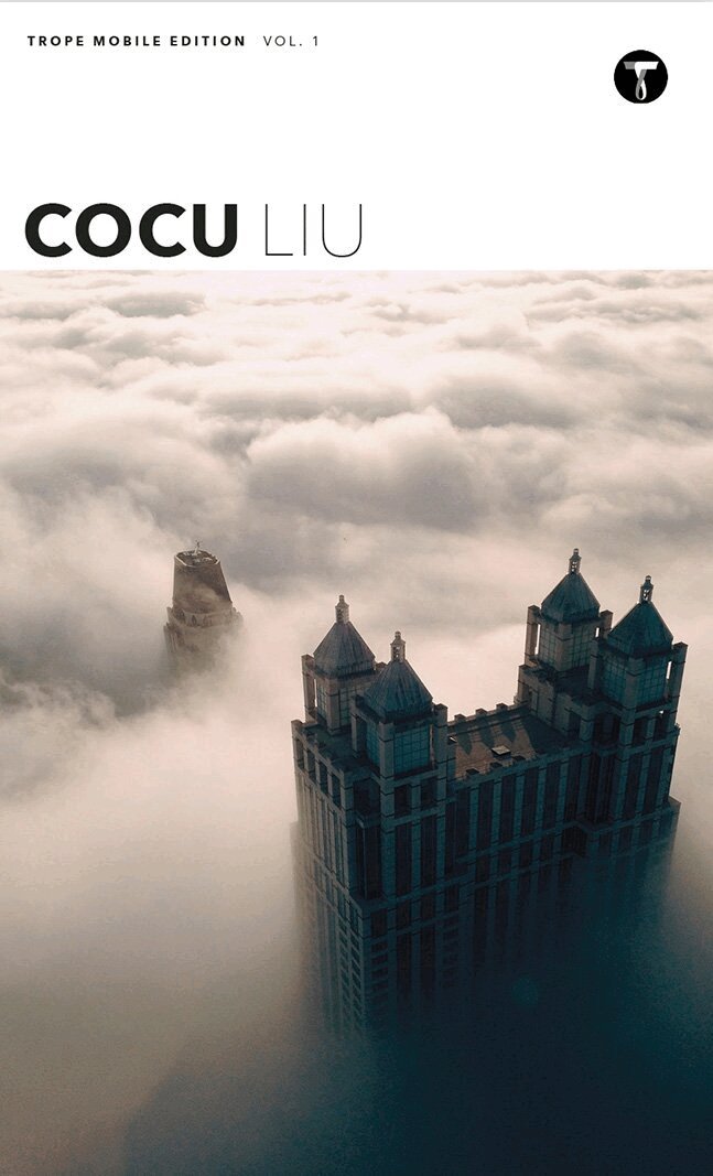 Cocu Liu, Häftad