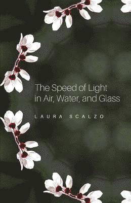 Laura Scalzo - Speed of Light in Air, Water, and Glass, Häftad