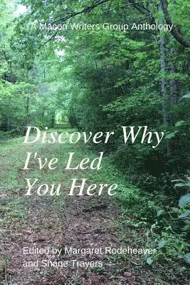 Margaret M. Rodeheaver, Shane N. Trayers - Discover Why I've Led You Here: A Macon Writers Group Anthology, Häftad. Tillgänglighet: Lägg i varukorg
