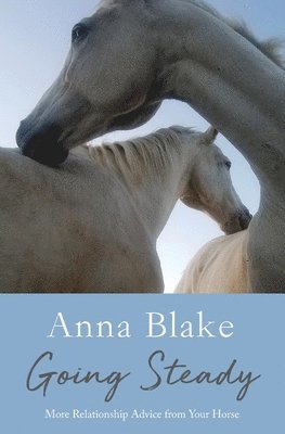 Anna M Blake - Going Steady, Häftad. Tillgänglighet: Lägg i varukorg