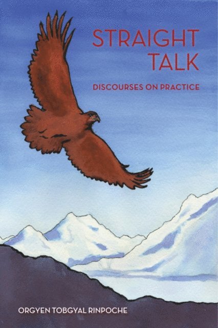 Straight Talk, E-bok
