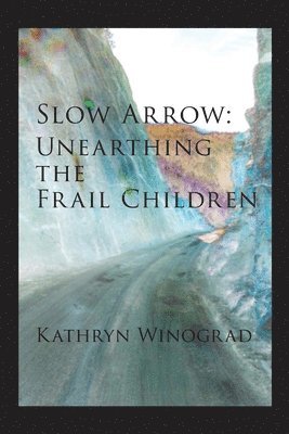 Kathryn Winograd - Slow Arrow, Häftad