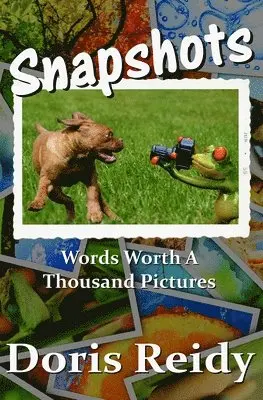 Doris Reidy - Snapshots: Words Worth a Thousand Pictures, Häftad. Tillgänglighet: Lägg i varukorg