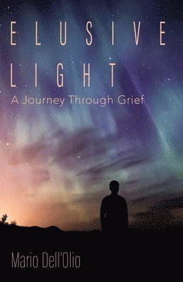 Mario Dell'olio - Elusive Light, Häftad. Tillgänglighet: Lägg i varukorg