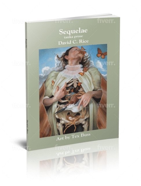 David C Rice - Sequelae, E-bok