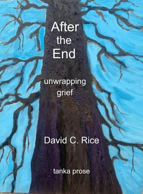David Rice - After the End: Unwrapping Grief, E-bok