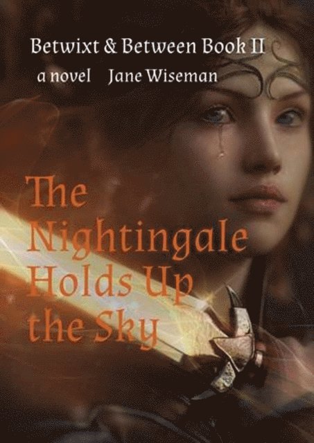 Jane Wiseman - Nightingale Holds Up the Sky, E-bok