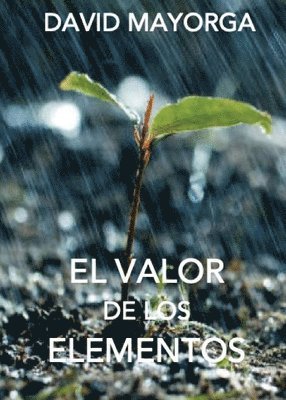 David Mayorga - Valor de Los Elementos, Häftad. Tillgänglighet: Lägg i varukorg