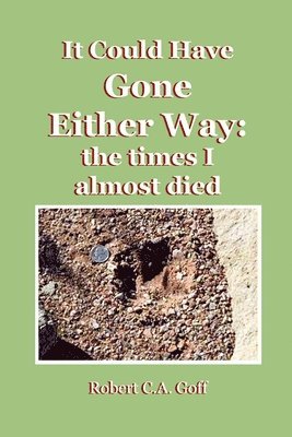 Robert C a Goff - It Could Have Gone Either Way, Häftad