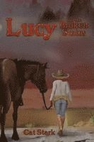 Cat Stark - Lucy of the Broken States, Häftad