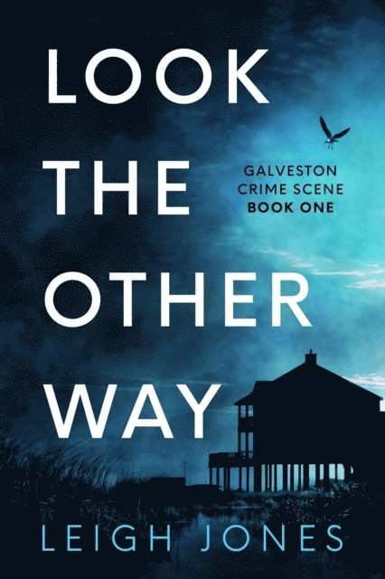 Leigh Jones - Look The Other Way, E-bok