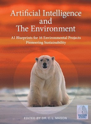 Cindy Mason, Cindy Mason - Artificial Intelligence and The Environment, Häftad