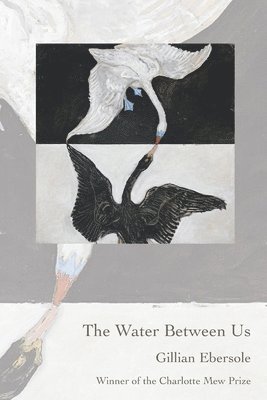 Gillian Ebersole - Water Between Us, Häftad