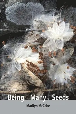 Marilyn McCabe - Being Many Seeds: poems, Häftad. Tillgänglighet: Lägg i varukorg