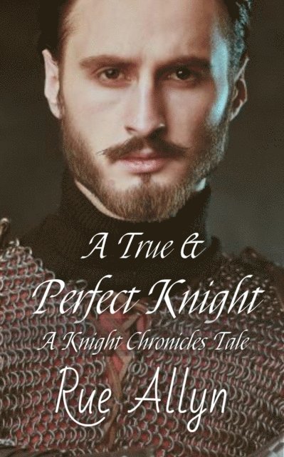Rue Allyn - True and Perfect Knight, E-bok