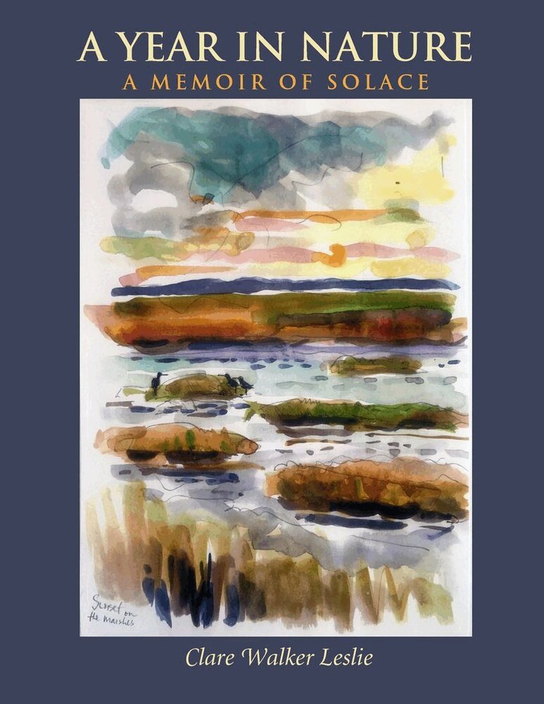 Clare Walker Leslie - Year In Nature: A Memoir of Solace, Häftad