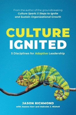 Jason Richmond, Jeanne Kerr, Malcolm J Nicholl - Culture Ignited, Häftad