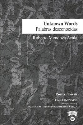 Roberto Mendoza Ayala - Unknown Words / Palabras desconocidas, Häftad