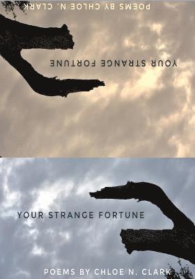 Chloe N. Clark - Your Strange Fortune, Häftad