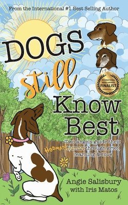 Angie Salisbury - Dogs Still Know Best: Two Angels Guide Their Human Through Grief, Learning & Love, Häftad. Tillgänglighet: Lägg i varukorg