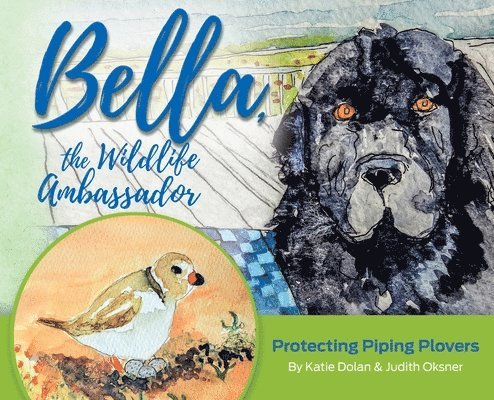 Katherine Dolan - Bella, the Wildlife Ambassador: Protecting Piping Plovers, Inbunden. Tillgänglighet: Lägg i varukorg