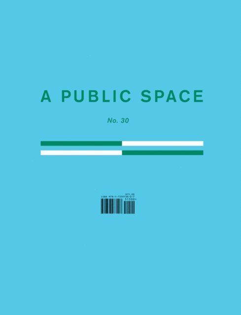 Brigid Hughes - Public Space No. 30, E-bok