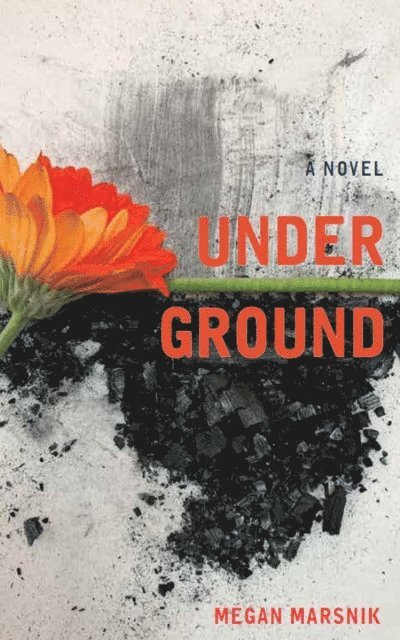 Megan Marsnik - Under Ground, E-bok