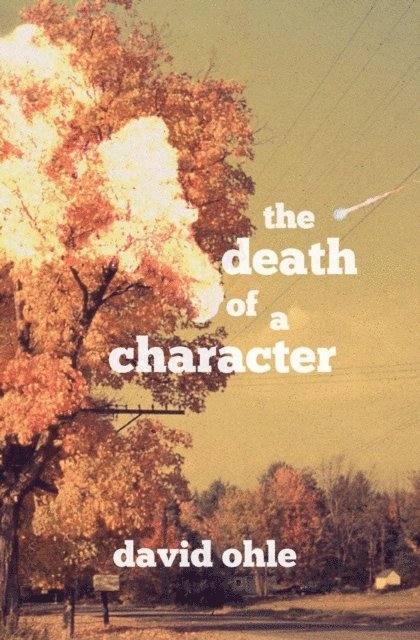 David Ohle - Death of a Character, E-bok