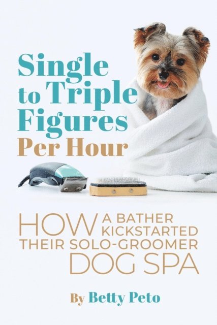 Betty Peto - Single to Triple Figures Per Hour, E-bok