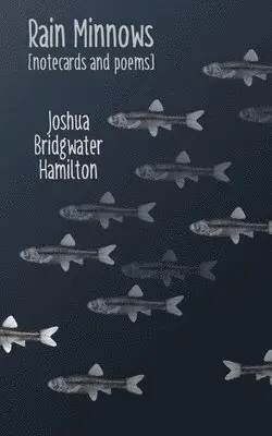 Joshua Bridgwater Hamilton - Rain Minnows, Häftad. Tillgänglighet: Lägg i varukorg