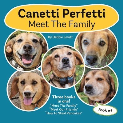 Debbie Levitt - Canetti Perfetti, Häftad. Tillgänglighet: Lägg i varukorg