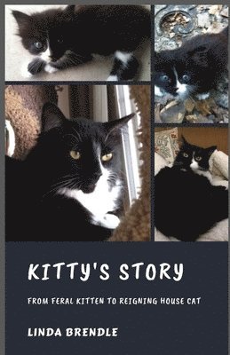 Kitty's Story