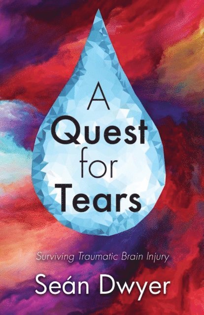 Sean Dwyer - Quest for Tears, E-bok