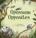 Opossum Opposites