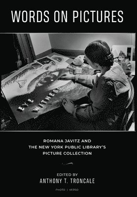 Words on Pictures
