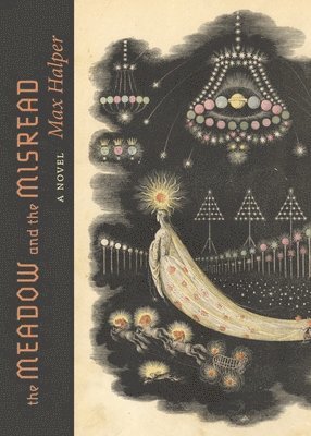 Max Halper - The Meadow and the Misread, Häftad