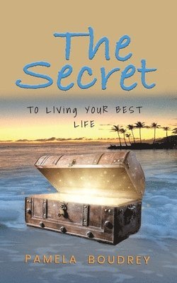 Pamela Boudrey - Secret, Häftad