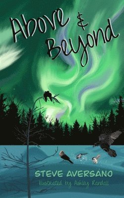 Steve Aversano - Above & Beyond, Häftad. Tillgänglighet: Lägg i varukorg