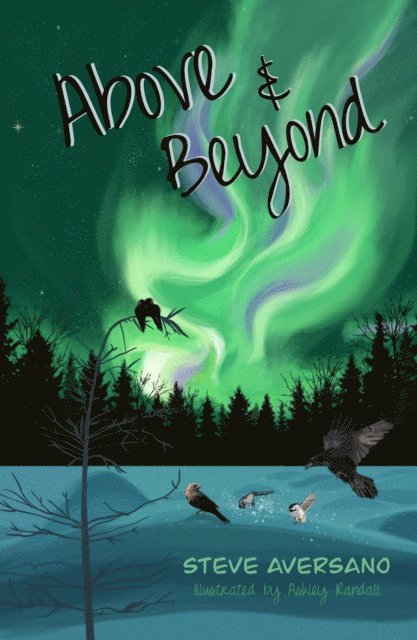 Steve Aversano - Above & Beyond, E-bok. Tillgänglighet: Lägg i varukorg