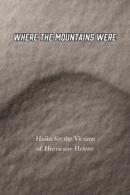 Joshua Gage, Rowan Beckett Minor - Where the Mountains Were, Häftad
