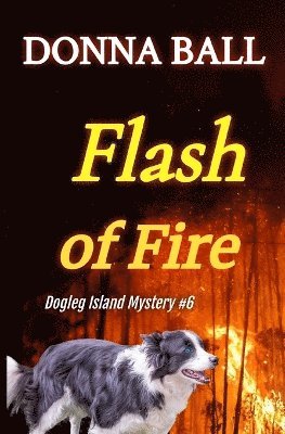 Donna Ball - Flash of Fire, Häftad