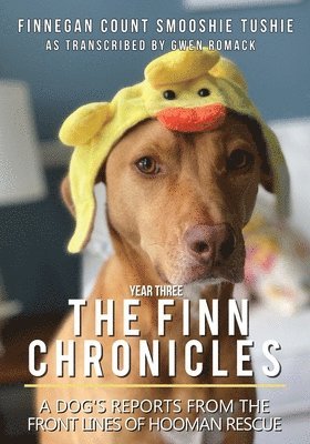 Gwen Romack - Finn Chronicles, Häftad. Tillgänglighet: Lägg i varukorg